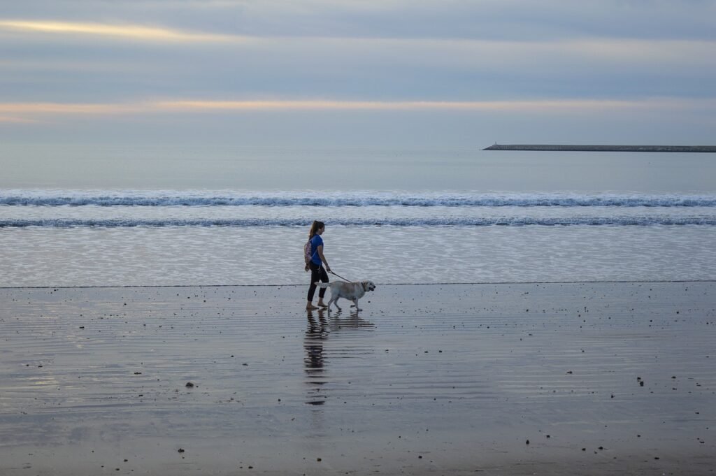 beach, ocean, young woman-4734519.jpg