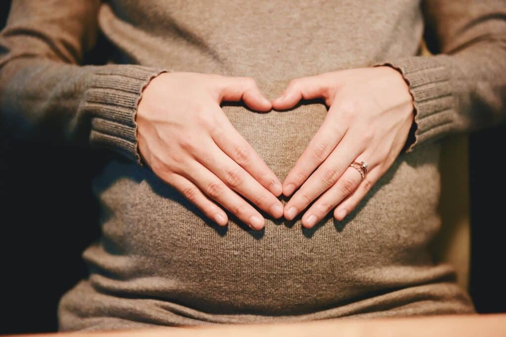 Image of pregnant woman travelling