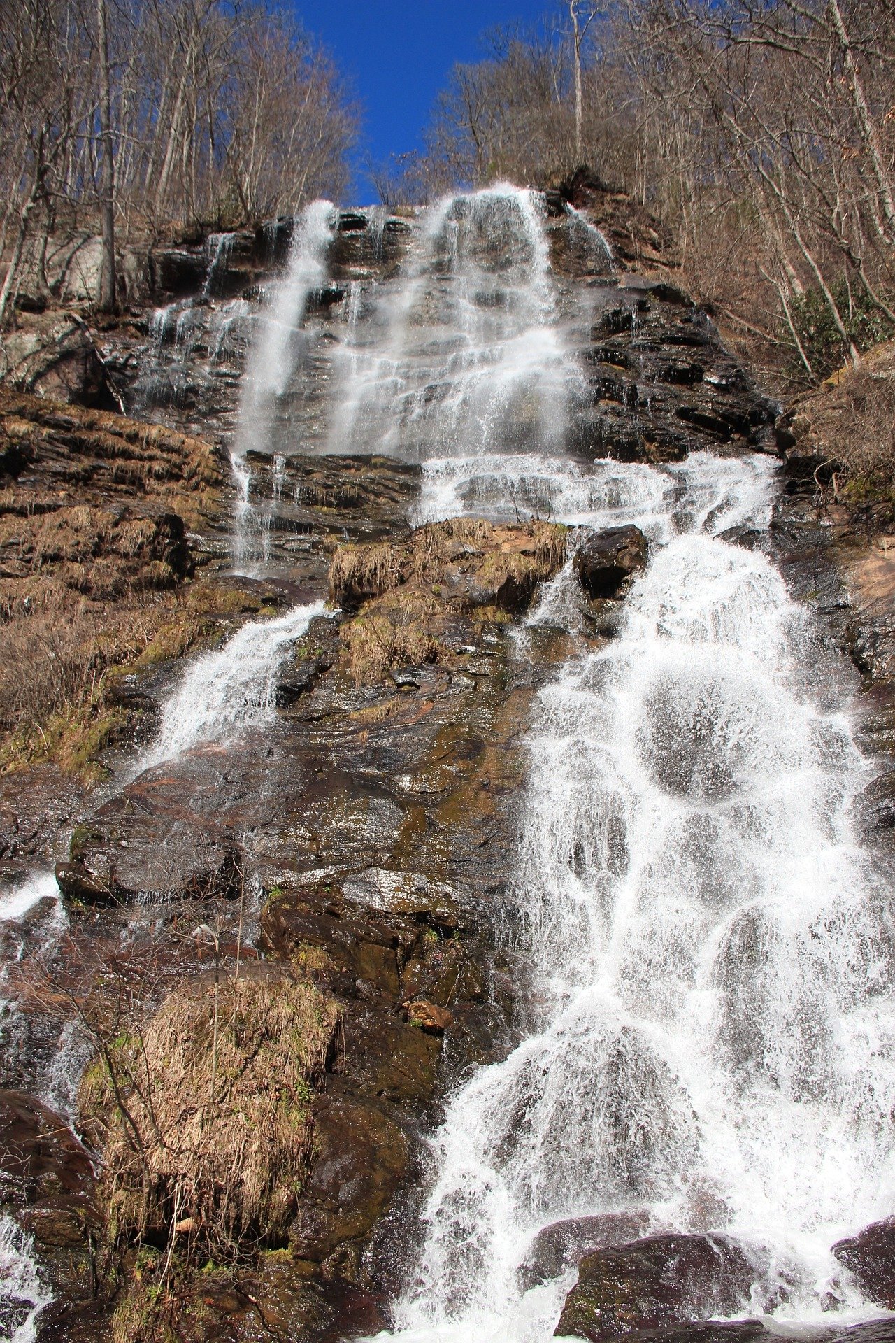 Image of Amicalola Falls, Georgia USA