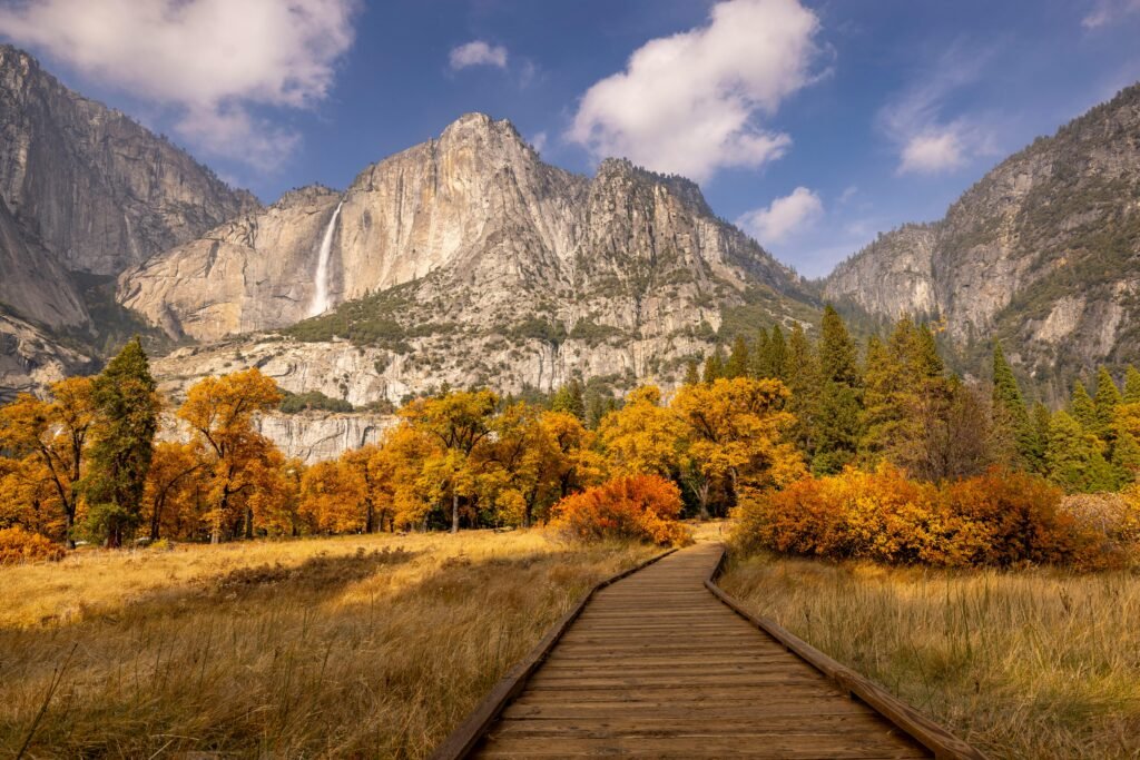 Stunning view of fall foliage in USA, beautiful autumn foliage picture