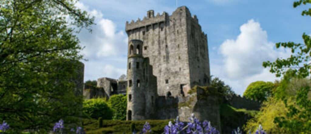 full picture of Blarney Stone surrounding with trees and buildings