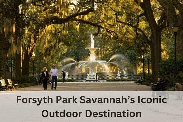 Forsyth Park Savannah’s where lot of trees and roads and few peoples are walking in the road