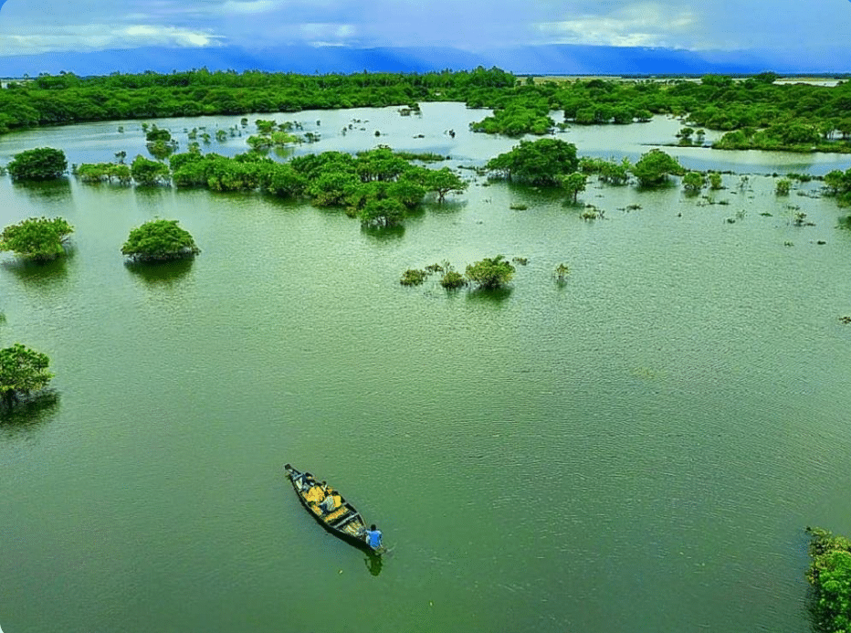 Ratargul Swamp Forest scenario view lot of trees rier and sky in the picture