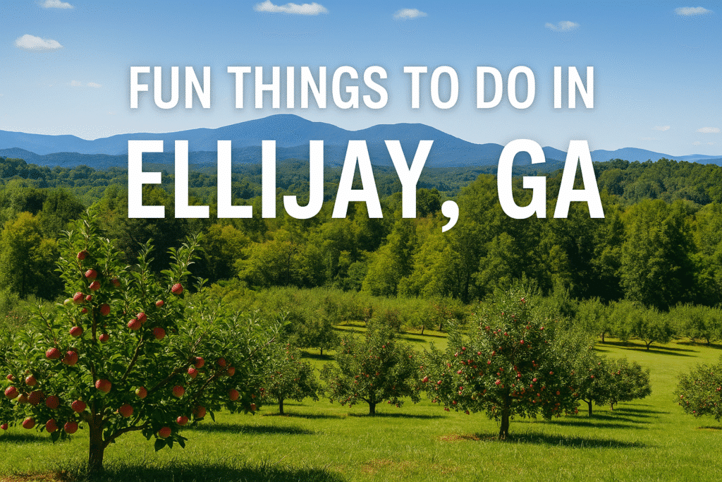 15 Best Things to Do in Ellijay GA 2025 Guide to Top Attractions  Hidden Gems   Touring Diary Adventure