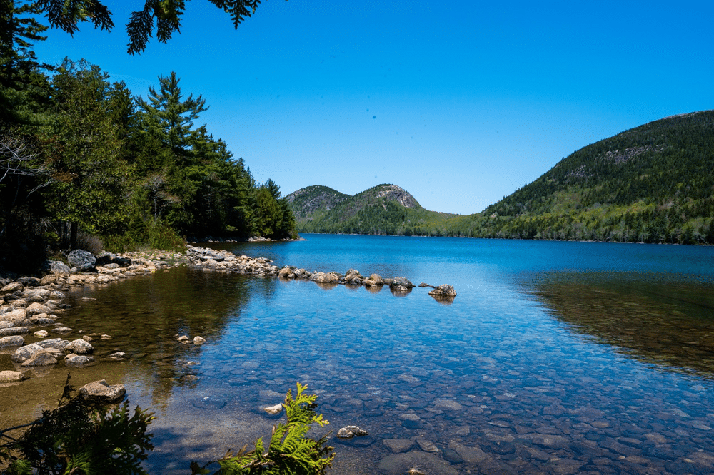 Crystal-clear lake with rocky shoreline surrounded by lush green pine trees and forested mountains under a bright blue sky, likely in Acadia National Park.
