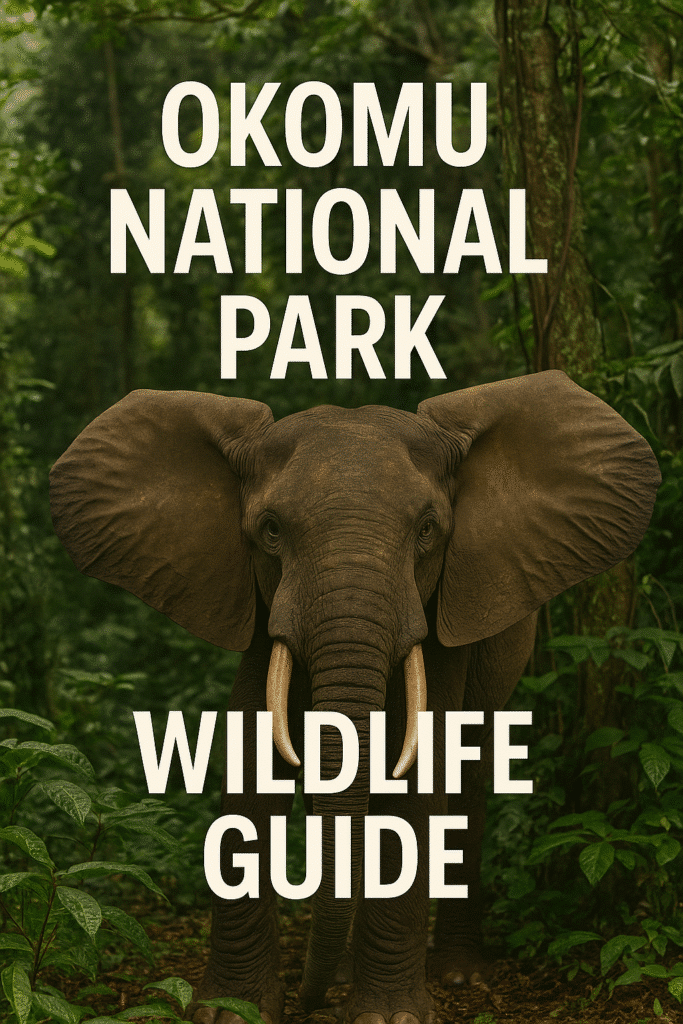 An African forest elephant standing in the dense rainforest of Okomu National Park with bold white text reading Okomu National Park Wildlife Guide   Touring Diary Adventure